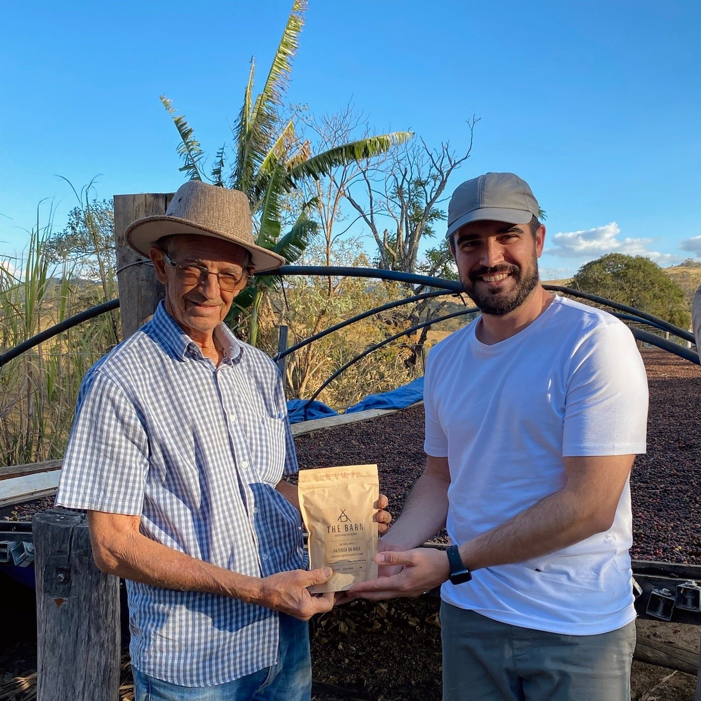 The Barn Fazenda da Mata cafea boabe 250g prăjire espresso