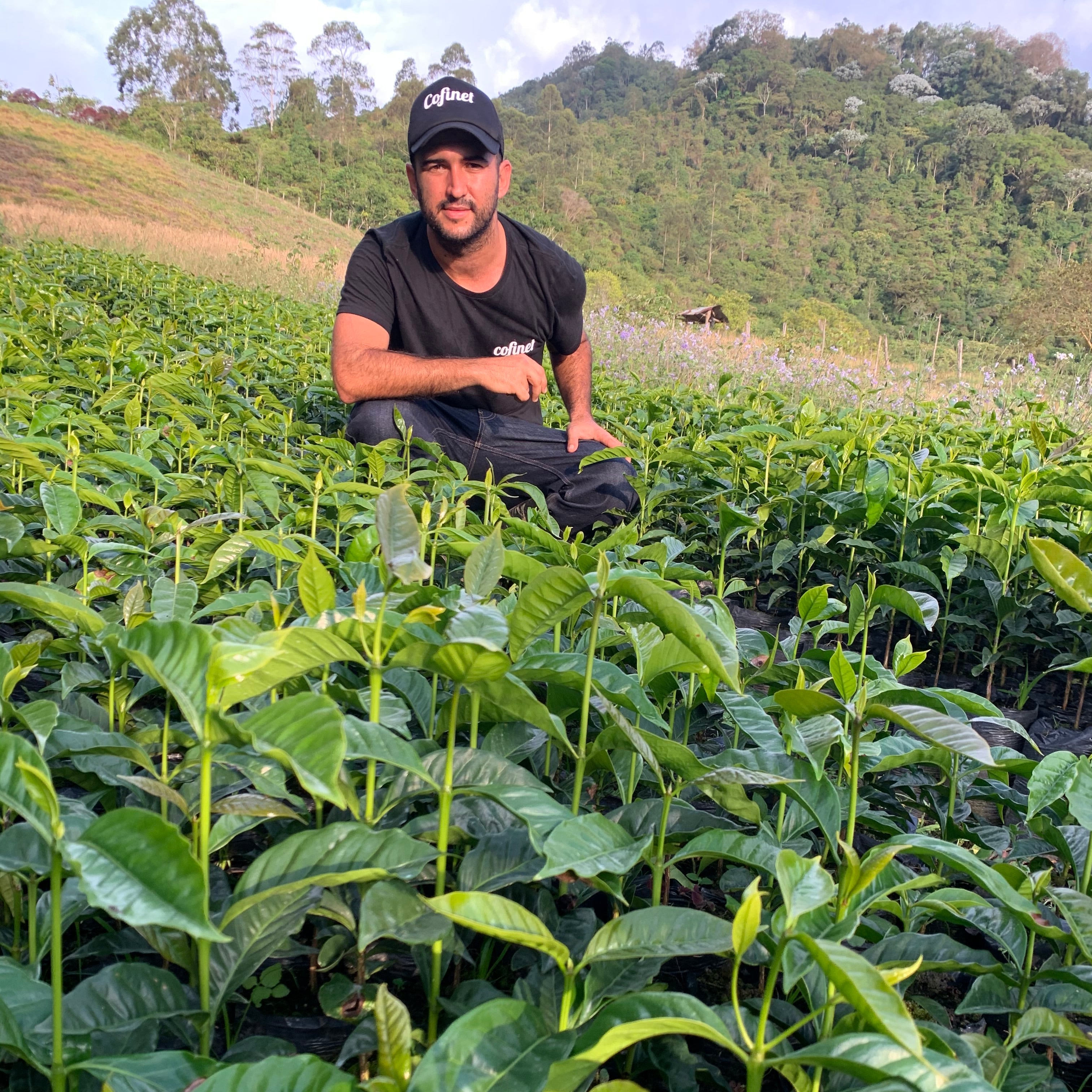 The Barn Jardines del Eden Papayo cafea boabe 150g