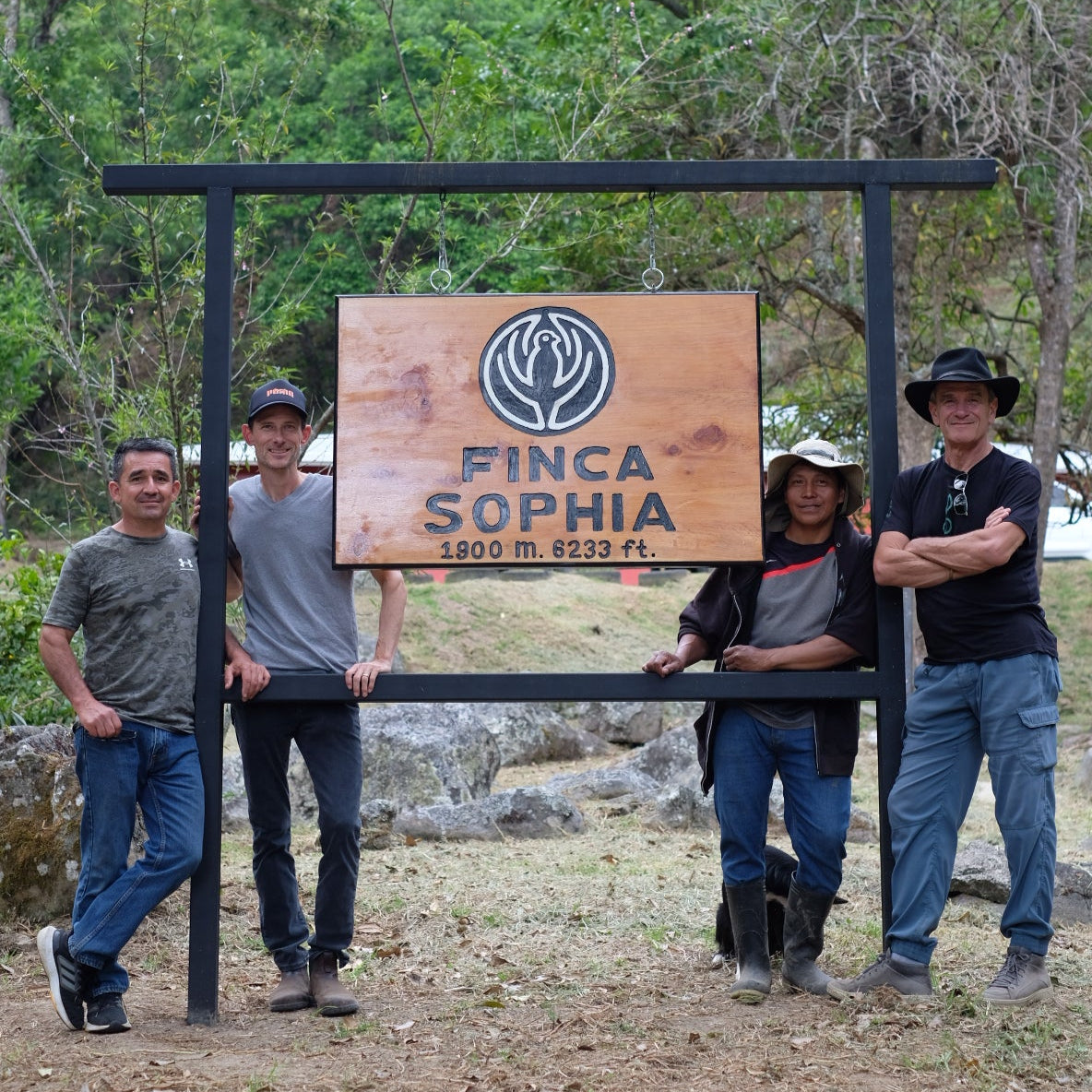 The Barn Finca Sophia Gesha cafea boabe 100g Panama