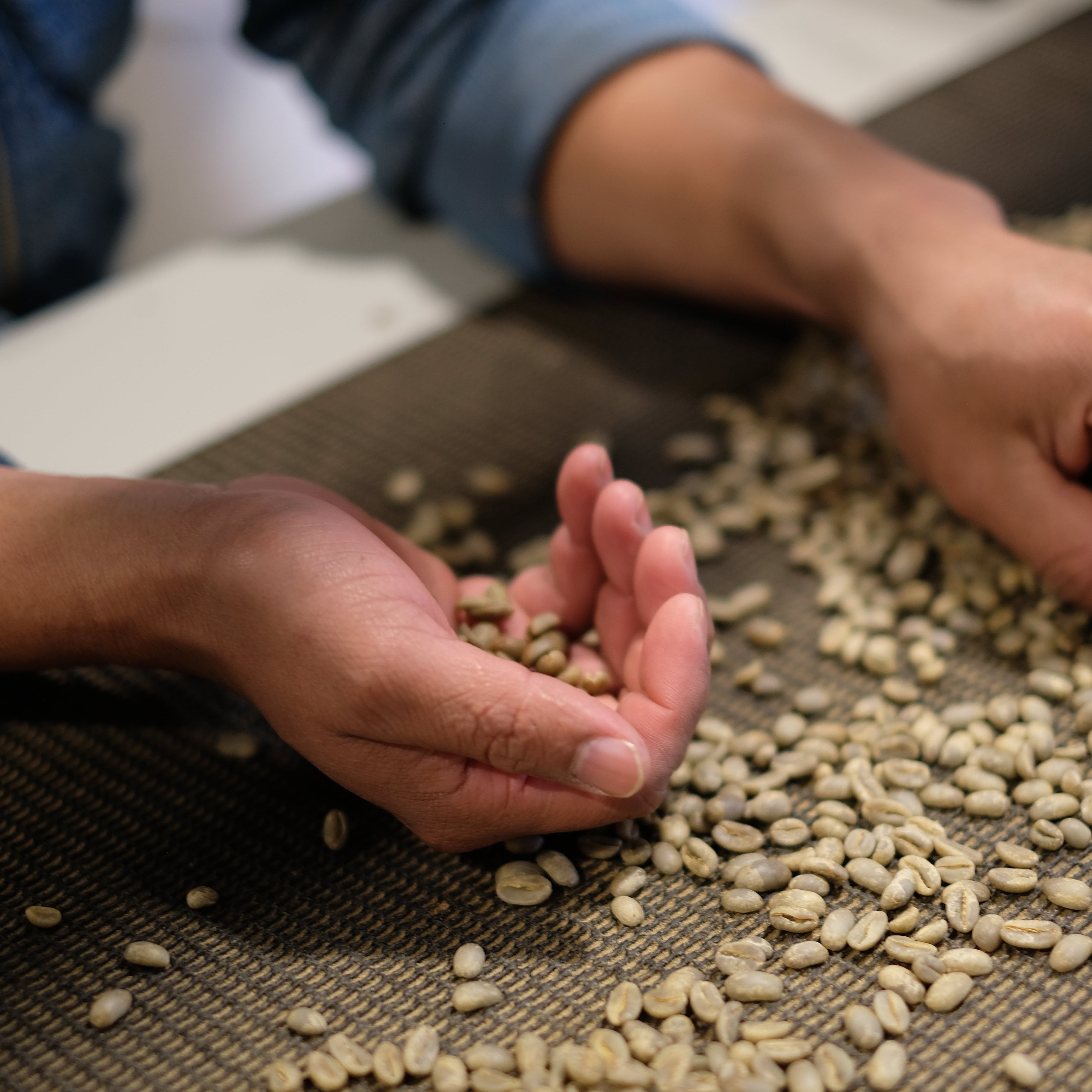The Barn Elida Gesha Natural cafea boabe 125g Panama