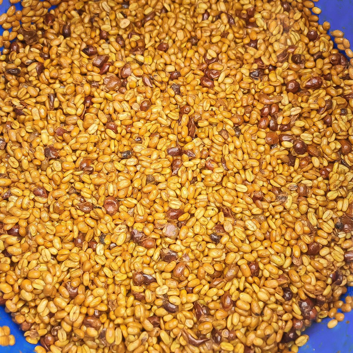 The Barn Aroma Nativo Gesha cafea boabe 150g ananas