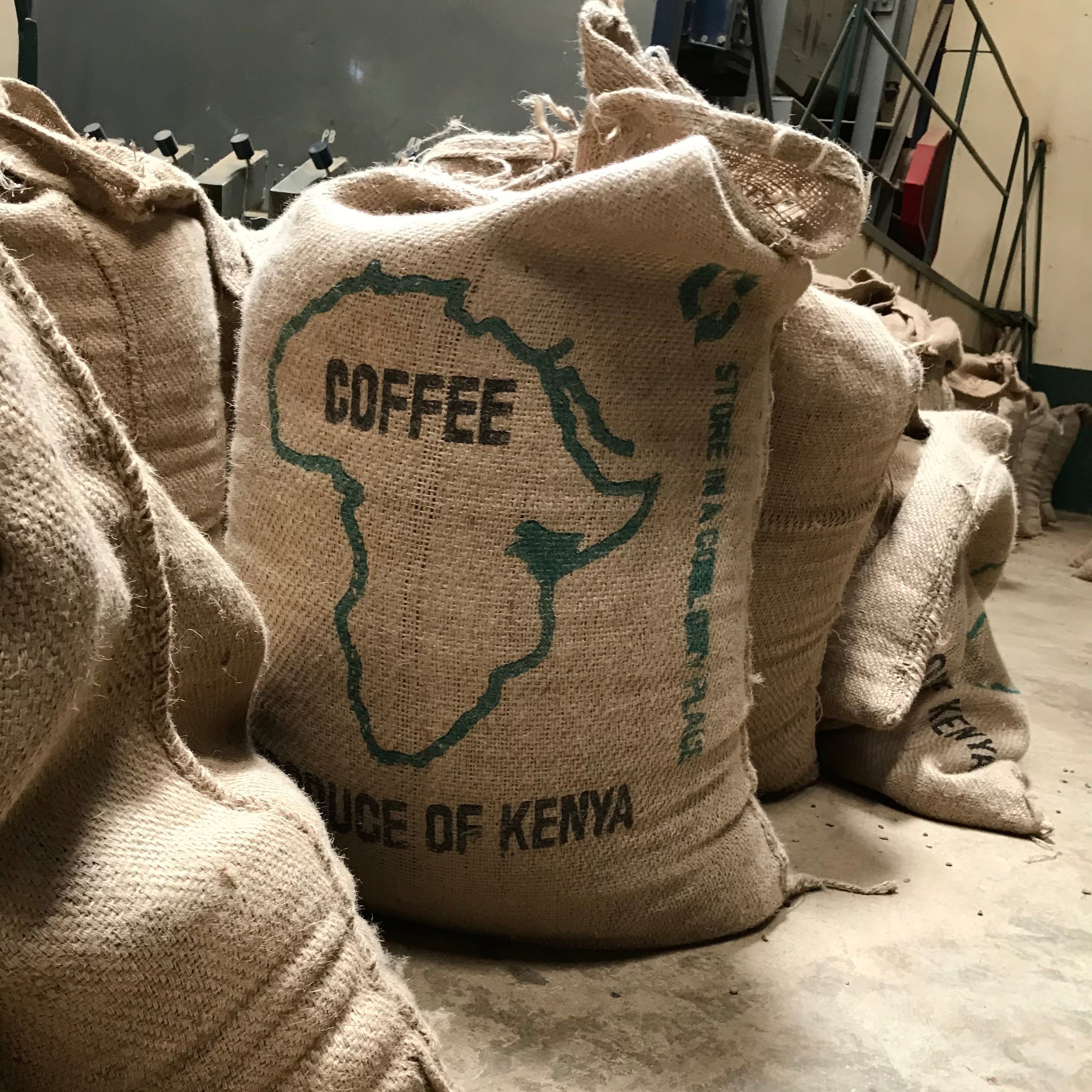 The Barn Kiunyu PB cafea boabe 250g Kenya filtru