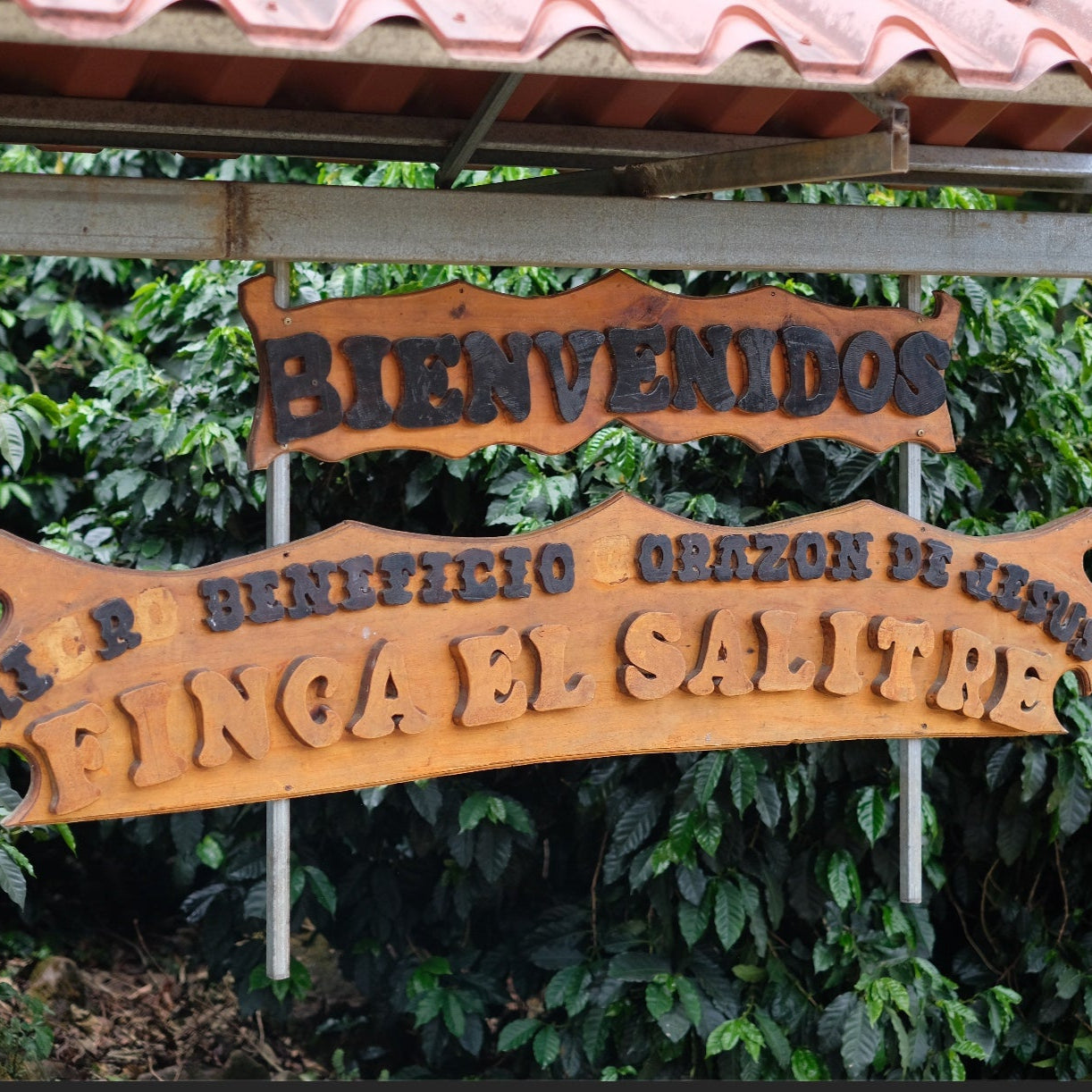 The Barn El Salitre cafea boabe 250g red honey