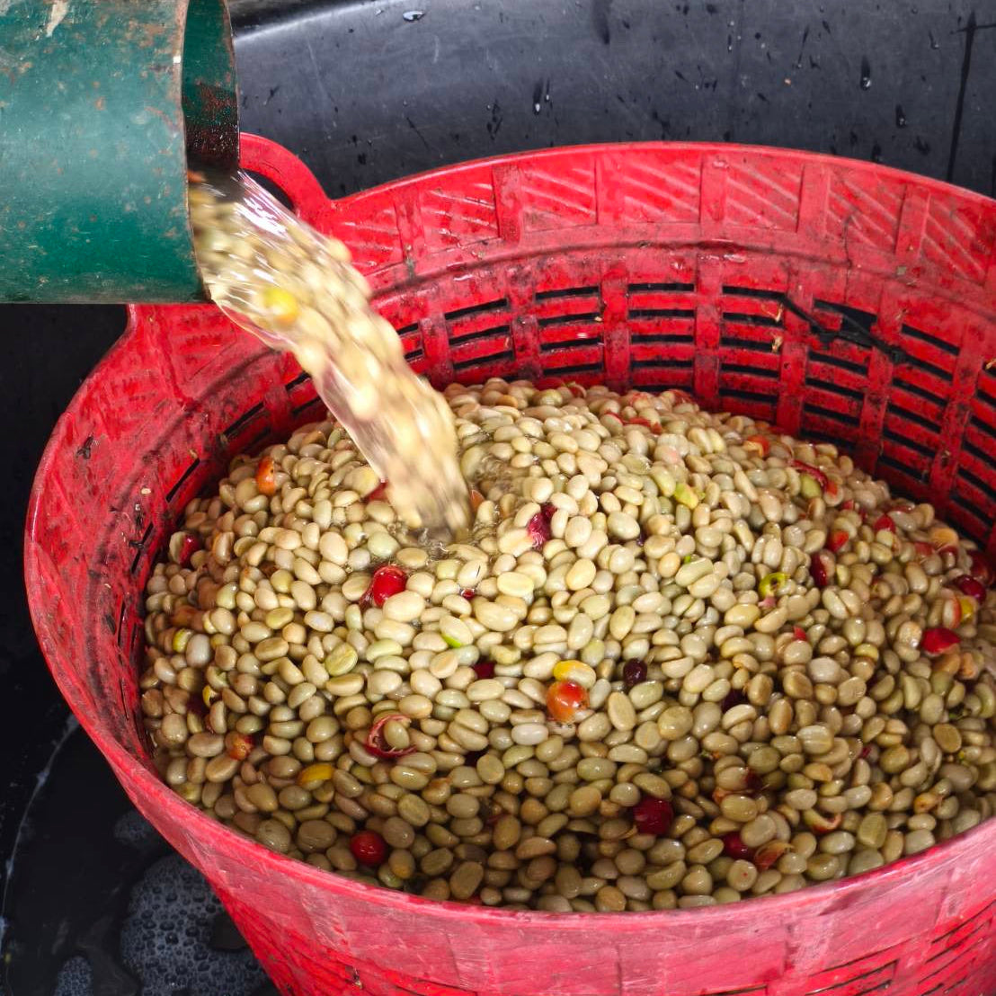 The Barn Doi Saket cafea boabe 250g fructata