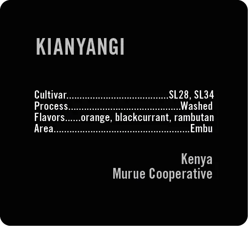 Apollon's Gold Kianyangi cafea Kenya 250g spalata