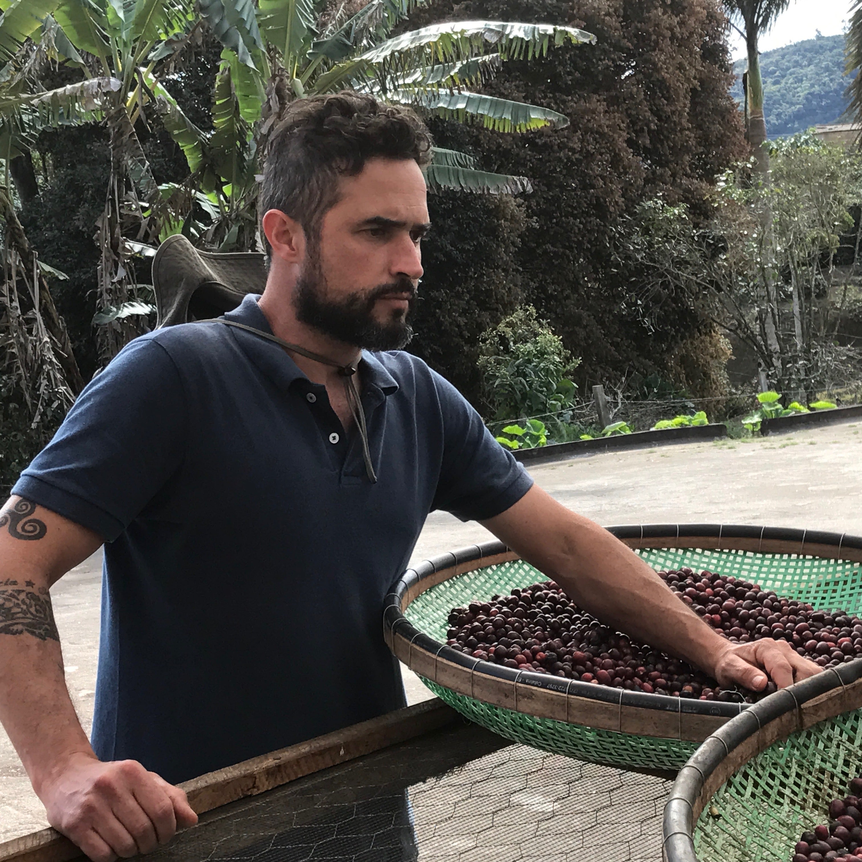The Barn Ninho da Aguia cafea boabe 250g Brazilia