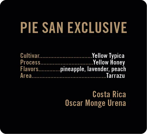 Apollon's Gold Pie San cafea boabe 100g yellow honey
