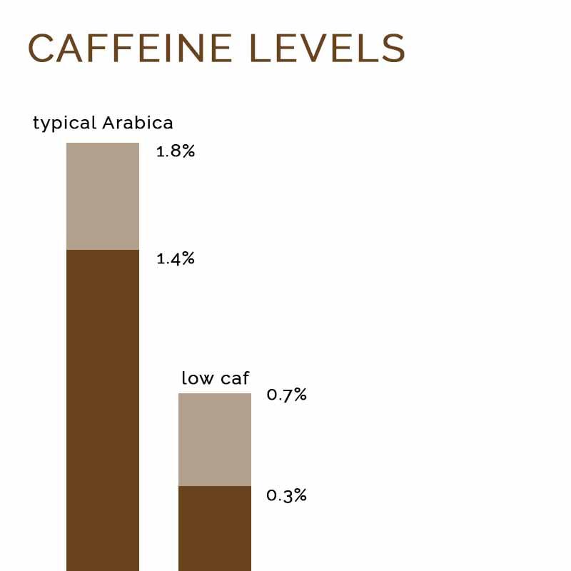 The Barn Daterra Reserve cafea boabe 250g low caf