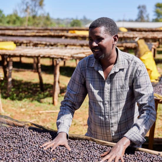 The Barn Arsosala cafea boabe 250g Etiopia