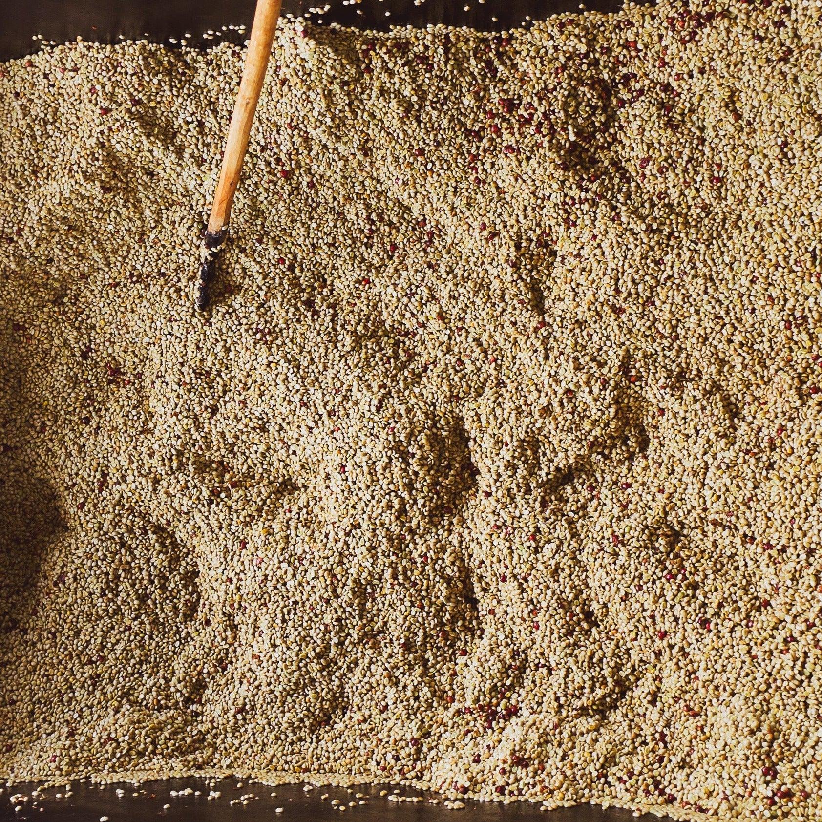 The Barn Bumba Hill Lot 1 cafea boabe 250g espressor