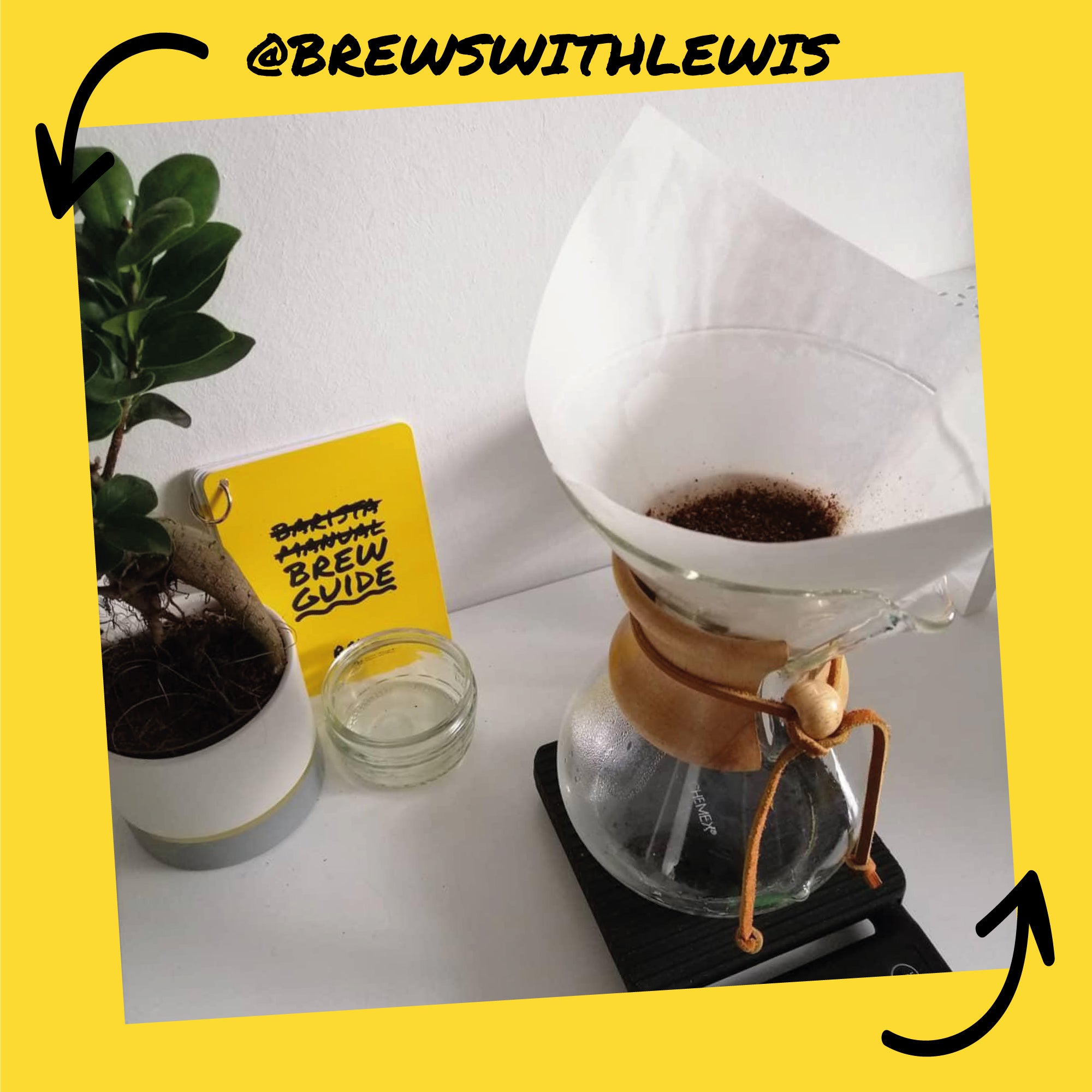 Rave Brew Guide ghid preparare cafea